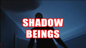 SHADOW BEINGS