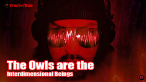 The Owls are the Interdimensional Beings